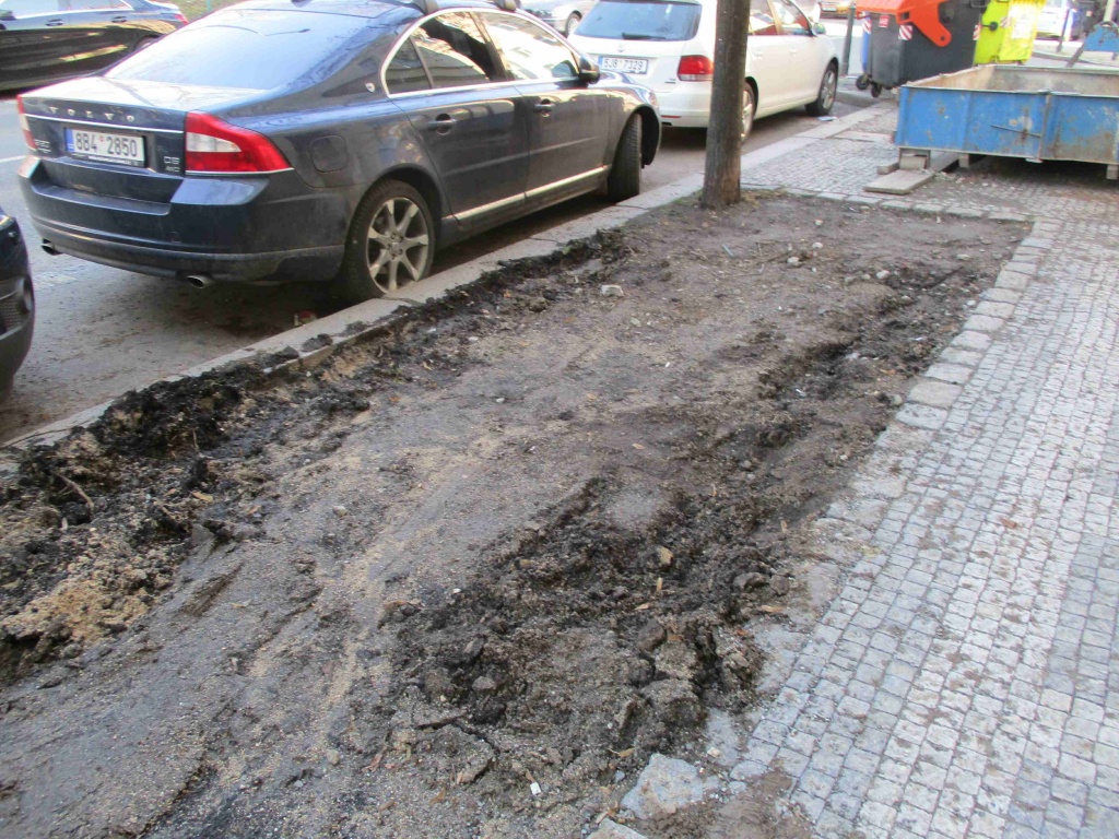 Kontejnery v pásu zeleně – Ruská