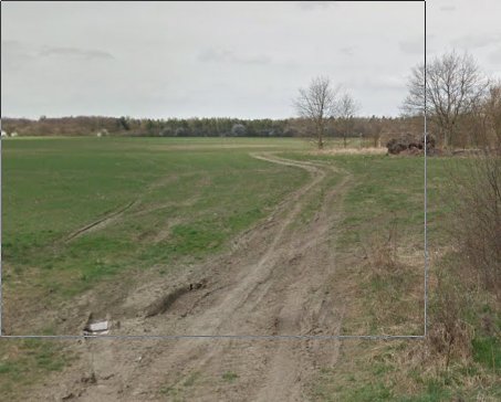 Nevyhovující pěšina Vinice – Xaverovský háj